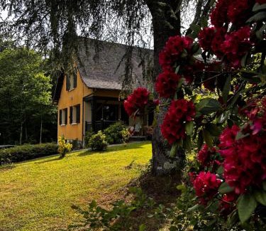 Saint-Estephe Bed & Breakfast | Guest Rated 10/10: Family-Friendly Stay at Les Comètes B&B