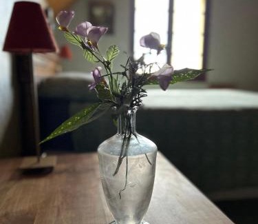 Saint-Estephe Bed & Breakfast | Guest Rated 10/10: Family-Friendly Stay at Les Comètes B&B