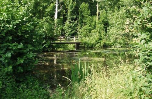 Augerville-la-Riviere House | Experience Les Coucous: Pet-Friendly and Family-Oriented Stay