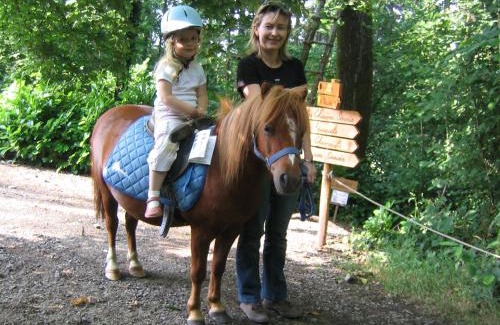 Force Other | Pet-Friendly Retreat at Les Ecolodges de l'Orbière