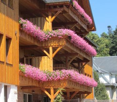 Sainte-Marie-aux-Mines House | Relax at Les Gîtes d'Adelspach with Spa & Ocean Views