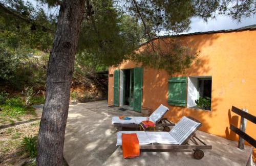 Olmeta di Capocorso Apartment | Cozy Retreat at Les Gîtes du Cap Corse with Ocean Views