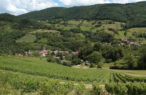 L'Abergement-de-Varey House | Discover Les Granges de la Forêt: Breakfast & Kitchen Available