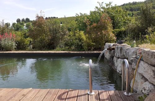 Le Glas Bed & Breakfast | les hirondelles du baudoy