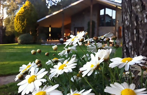 Seva Villa | Experience Les Margarides: A Paradise in Montseny Park