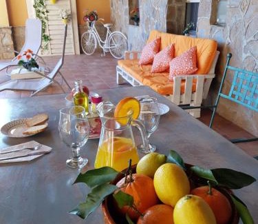 Deltebre House | Oceanfront Escape at Les Mercès - Rated 9.7 by Guests