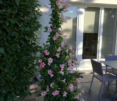 Hugier Bed & Breakfast | Discover Les Petunias: Oceanfront Bliss with Pool Access
