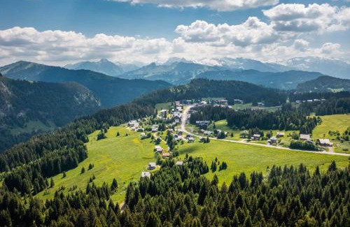 Le Praz de Lys Apartment | Discover Les Pralyssimes: Family & Pet-Friendly Retreat