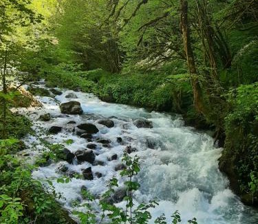 Seix Other | Discover Hôme des bois: Your Cozy Getaway Awaits