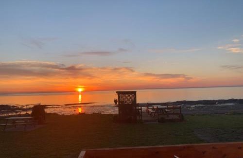 Saint-Ulric Apartment | Pet-Friendly Oceanfront Retreat at Les Studios de la Mer