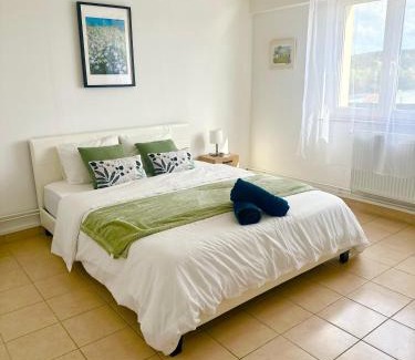 Yutz Apartment | Les suites frontalières T3 avec parking secteur Thionville Luxembourg