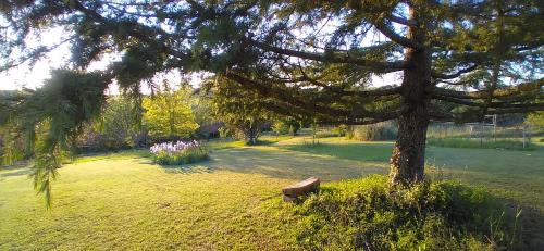 Saint-Cybranet Villa | Les Terrasses du Carlat, Le Logis, Demeure raffinée, situation idéale Dordogne, vues, piscine