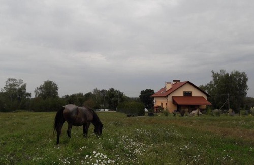 Brest Region House | Discover Lesnaya Paulinka: 10/10 Pet-Friendly Retreat