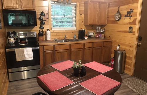 Cosby Cabin | Unwind Near Gatlinburg: Nature, Hot Tub & Pet Friendly