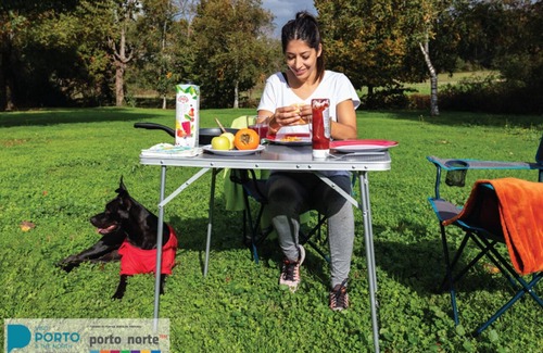 Matosinhos House | Discover Adventure in a House on Wheels!