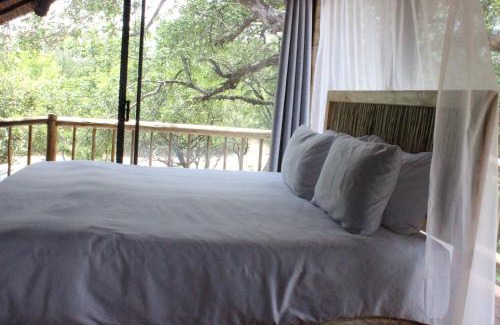 Marloth Park Resort | Discover Comfort at Letoane@krugerpark with Pool Access