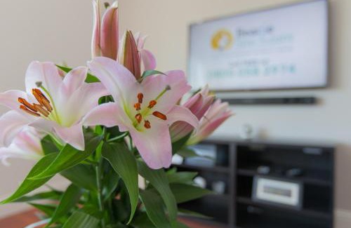Dunfermline Apartment | Inviting Leys Park Executive Apartments with Breakfast Included
