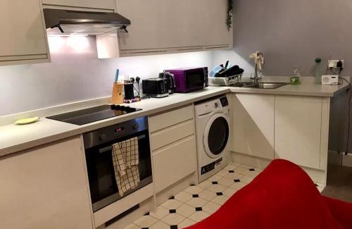Clifton Apartment | Discover Lido's View: A Guest Rated 8.7/10 Retreat