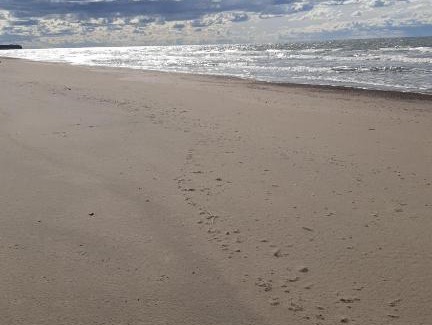 Jurmalciems House | Seaside Retreat at Liedaga Joma - Guest Rated 9.9/10