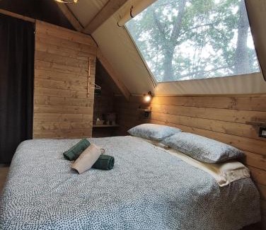 Albosaggia Other | Lieve Agriglamping Experience