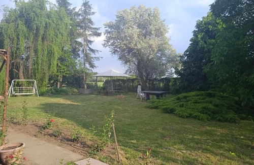 Nyirbogdany Bed & Breakfast | Budget-Friendly Stay at Liget Szálláshely for Families & Pets