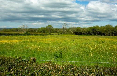 Llangwm House | Light bungalow with a view of countryside and river