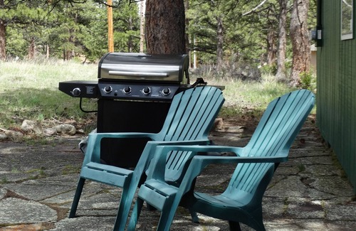 Estes Park Cabin | Bright Cabin Near Rocky Mountain Park with Family-Friendly Perks