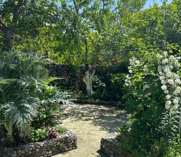 Kobuleti House | Exceptional Stay at Light in August: Pet & Child Friendly