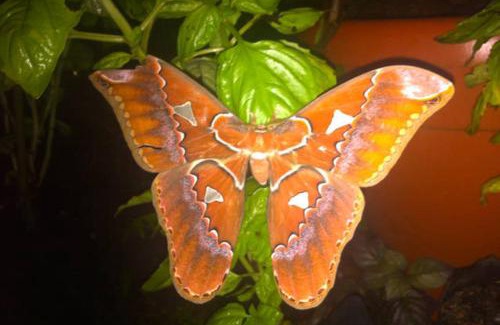 Naranjito House | Discover Light of Dawn: Family-Friendly with Breakfast & More