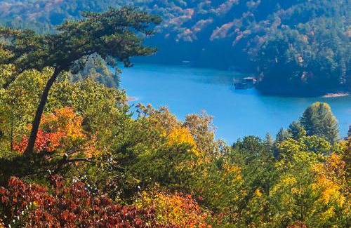 Necowa Cove House | Unforgettable Stay at Light's Mountain Lake Overlook