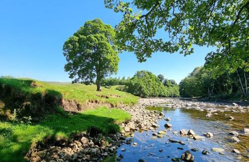 Redmire House | Elegant Lightfoot House: Pet and Child-Friendly Retreat