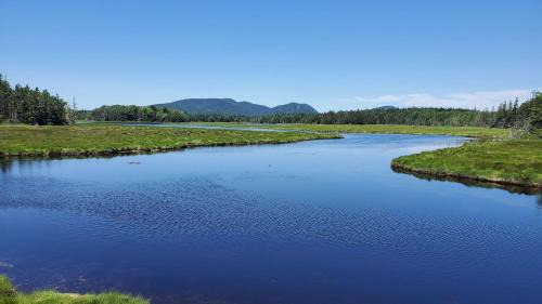 Bass Harbor House | Pet-Friendly Lighthouse Cabins in Scenic Maine - 9.7/10 Rated