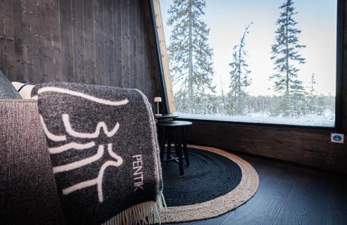 Posio Resort | Lights of Lapland Resort