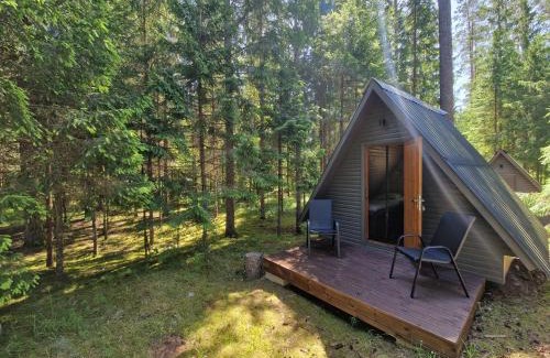 Kadrina Parish Other | Pet-Friendly Liivakõrtsi Kämping: Family Welcoming Retreat