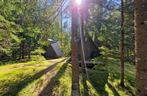 Kadrina Parish Other | Pet-Friendly Liivakõrtsi Kämping: Family Welcoming Retreat
