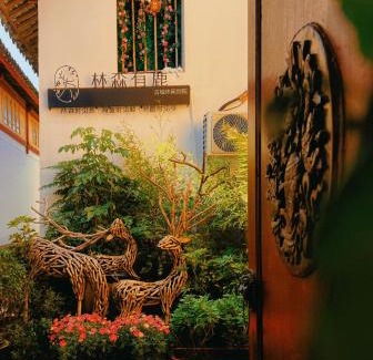 Dayan Old Town House | Lijiang Listen Deer Snow Mountain Viewing Guesthouse