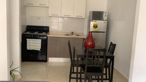 Santo Domingo Este Apartment | Cozy Like Home Apartment: 2 Bedrooms, Pet Friendly Amenities