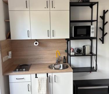 Balatonfoldvar Apartment | Oceanfront Lila Apartman: Rated 9.3 with Pool Access