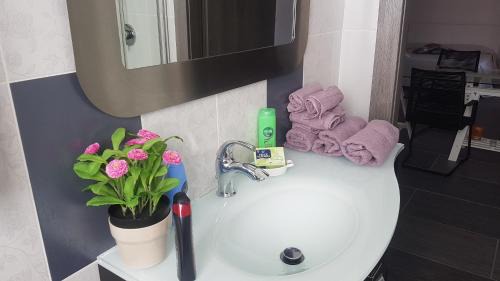 Gela Bed & Breakfast | Discover Lilium In B&B: Pet-Friendly & Family-Oriented Stay
