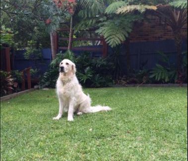 Lilli Pilli House | Family-Friendly Lilli Pilli Sublime - Pet Welcoming Paradise