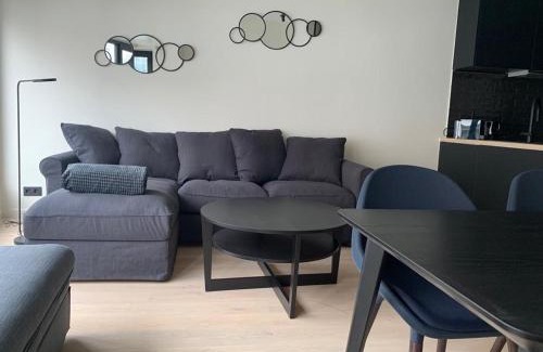 Knokke Apartment | Oceanfront Relaxation at Lily a la mer du Zoute
