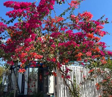 Duong Minh Chau House | Welcoming Lily Homestay BaDen: Pet-Friendly Retreat
