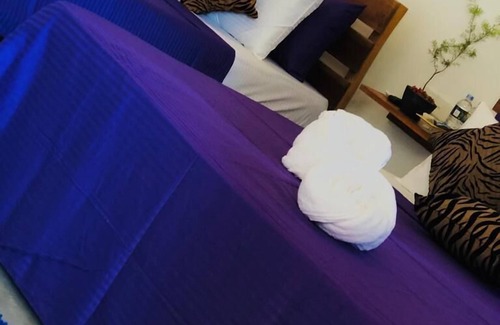 Udawalawa Bed & Breakfast | Relax at Lily Resort Udawalawe: Family-Friendly Retreat