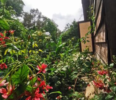Dak Mil House | Budget-Friendly Stay at Lily's Stone Garden Dorm Room