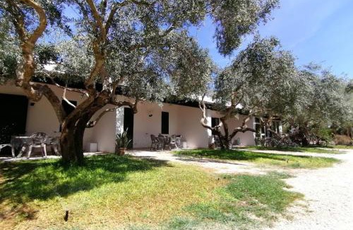 Marsala Other | Experience Oceanfront Bliss at Lilybeo Village