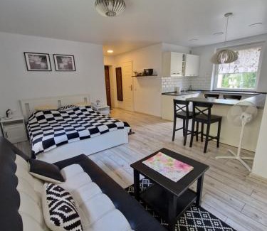 Druskininkai Apartment | Highly Rated Lima Studio: Family-Friendly and Cozy Retreat