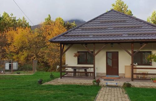 Baia Mare Apartment | Experience Limpedea Green House: Oceanfront Retreat with Pool