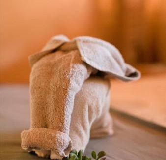 Blouberg Cabin | Discover Limpokwena Nature Reserve: Pet-Friendly Oasis Awaits
