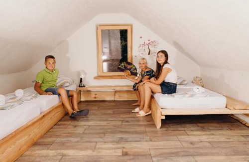 Lower Carniola Region House | Top-Rated LINCA Hiška pod slapom with Family-Friendly Perks