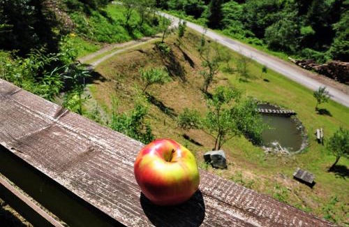 Lower Carniola Region House | Top-Rated LINCA Hiška pod slapom with Family-Friendly Perks